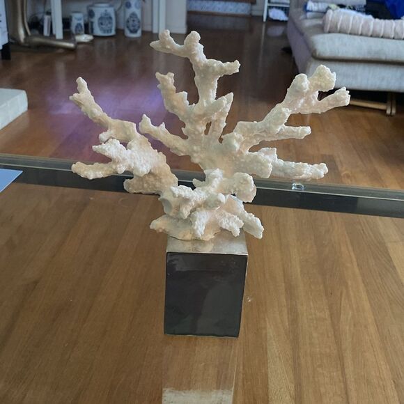 White branch coral on silver base. 12” x 10” - Picture 3 of 7